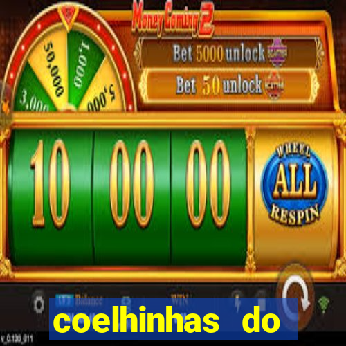 coelhinhas do brasil acompanhantes